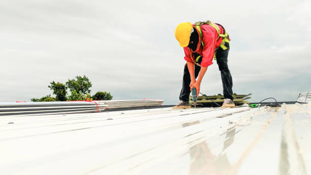 Best Roof Waterproofing  in Hilltop, MN