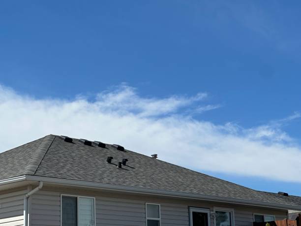 Best Wood Shake Roofing  in Hilltop, MN